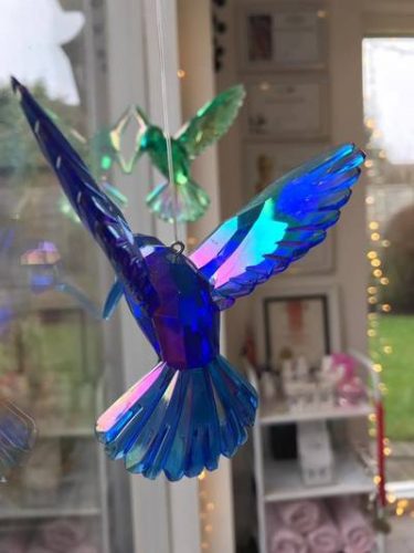 16735383_1742622869381055_211438580_o