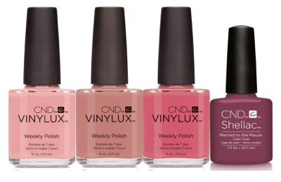 Collection Line Up copy