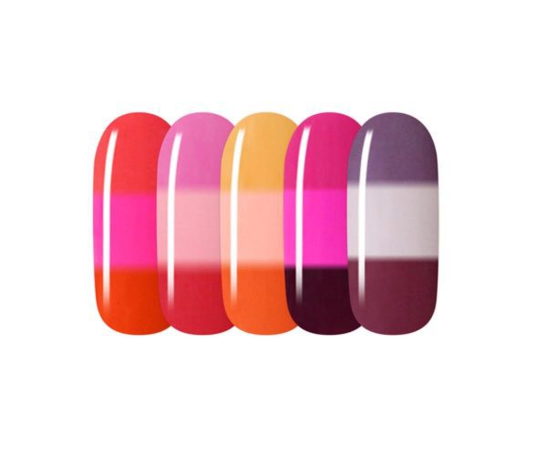 Candy Coat Ice_Lollys