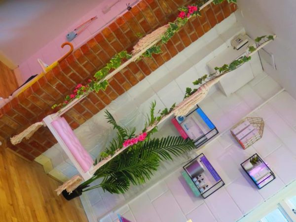 Bronze and Beautyful