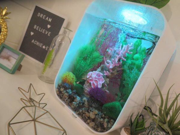 Bronze and Beautyful7