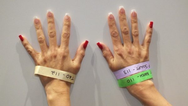 Perfect Match - Division 3 - 1st - Margaret Manczak