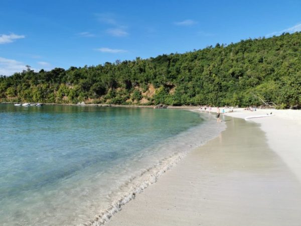 Nail Those Profits at Sea Cruise 5