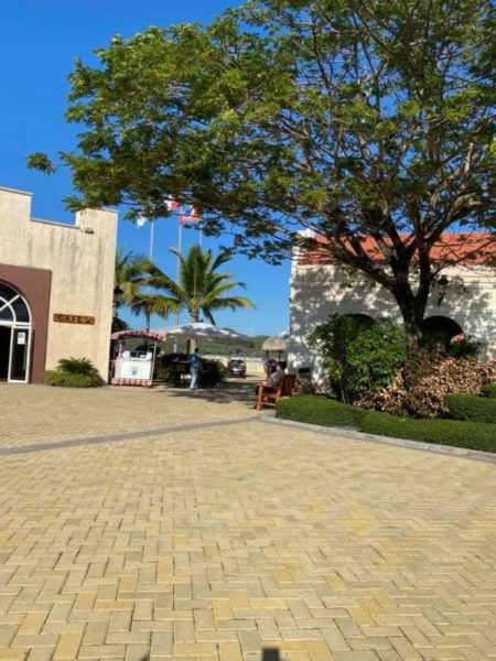 Nail Those Profits at Sea Cruise 6