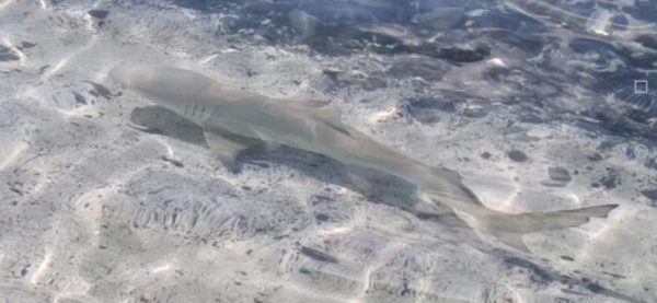 Nail Those Profits at Sea Cruise 6