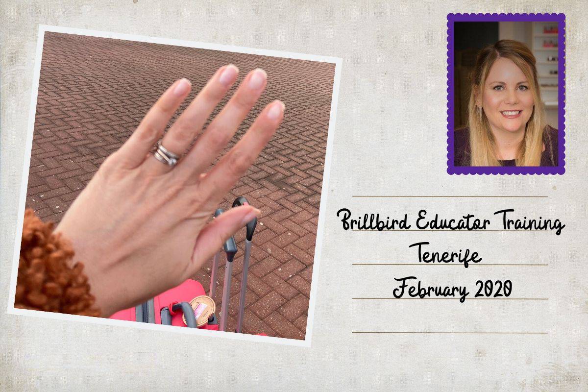 Michelle Brookes Brillbird blog 1