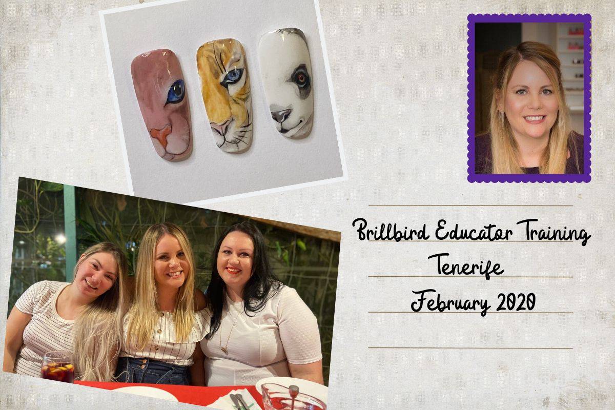 Michelle Brookes Brillbird blog 5