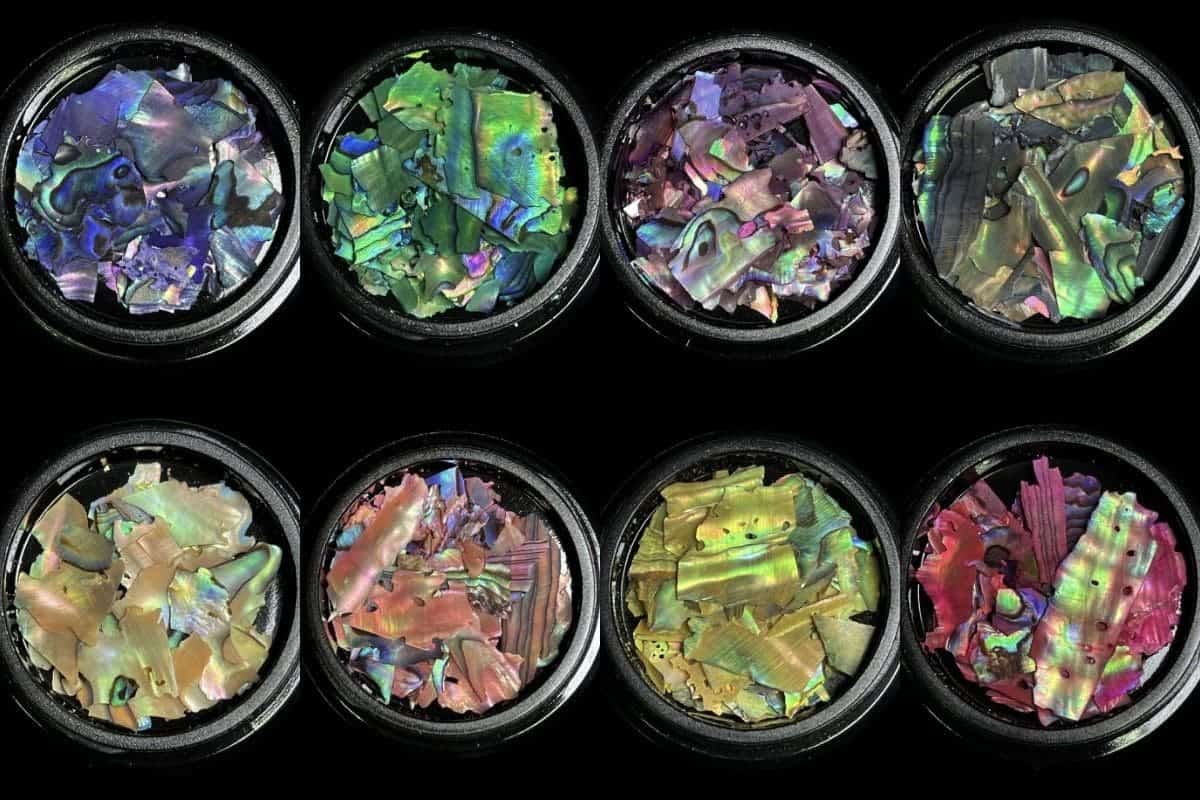 Magpie Beauty Nail Art shells lead