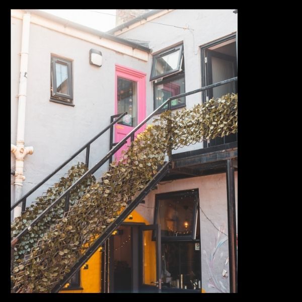 alex website square 600x600px (18)