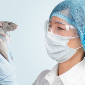 chloe web newsfeature template 1200x800px