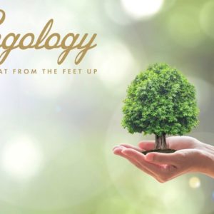 chloe web newsfeature template 1200x800px (5)