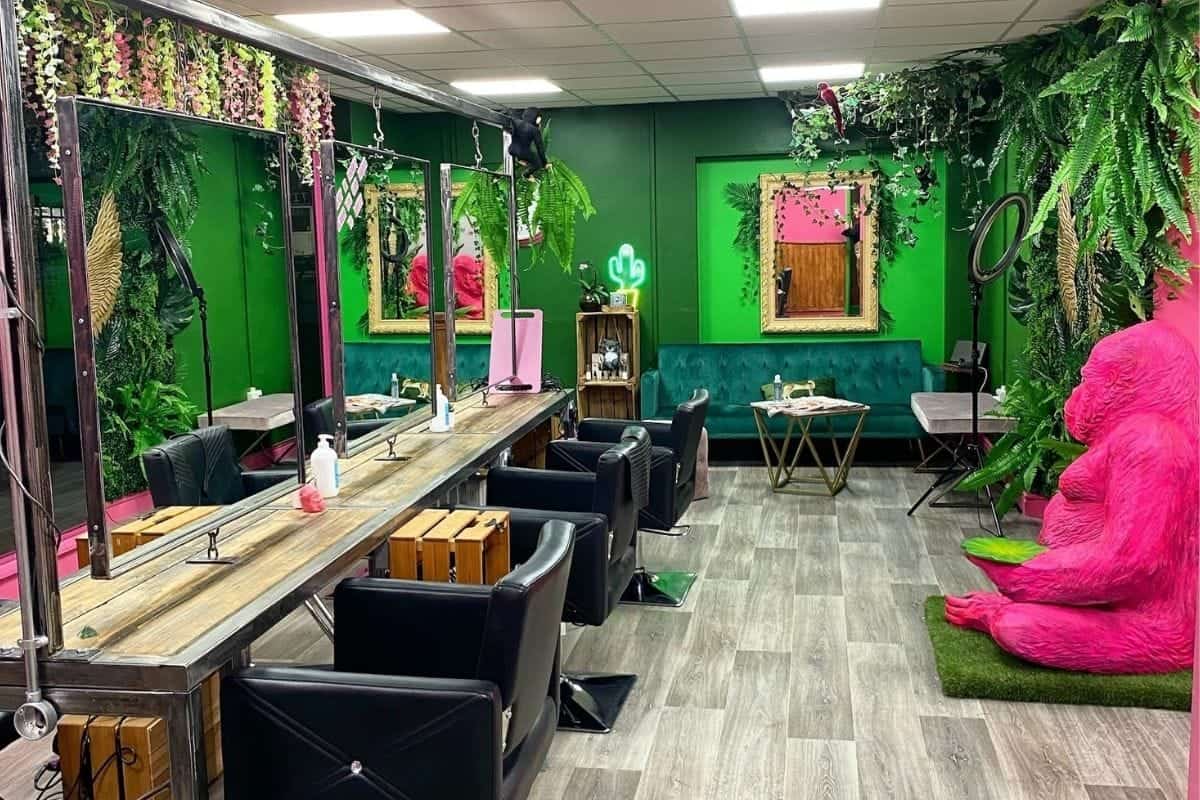 emma web featured image 1200x800px 2021 11 23t145524.517