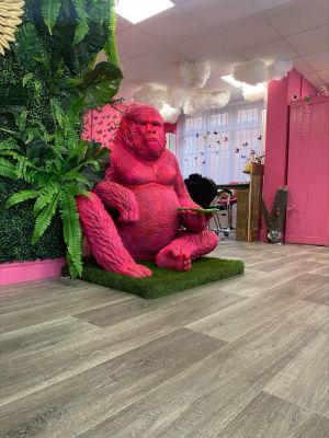 pink gorilla image 2 (1)