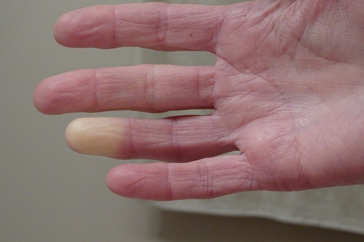 emma web featured image 1200x800px 2021 12 20t161124.509