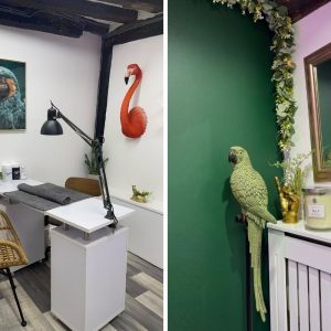 jessica hales header pic