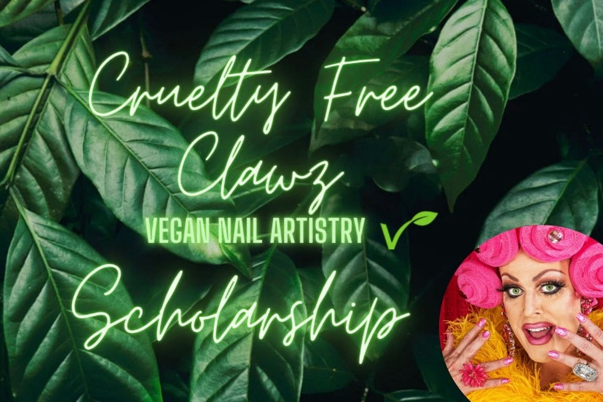 BECCA Web newsfeature lead 1200x800px (1)