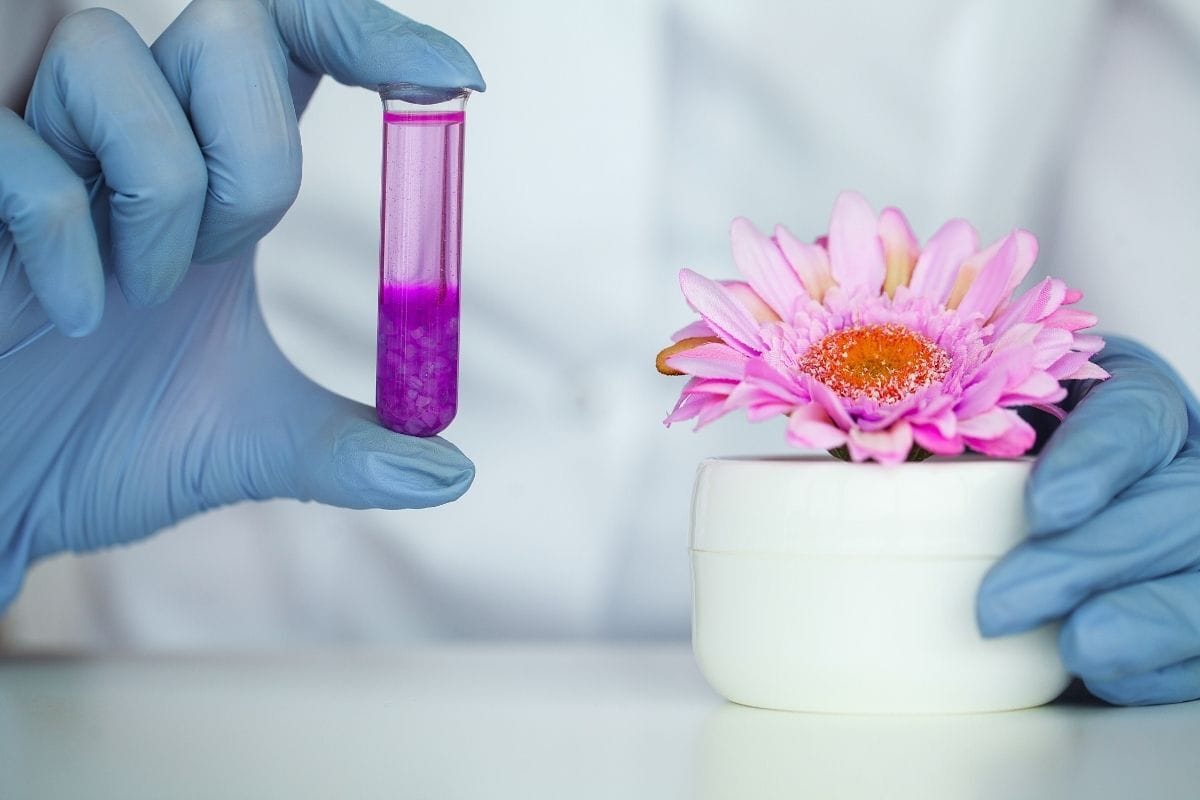 HELENA Web newsfeature template 1200x800px (2)