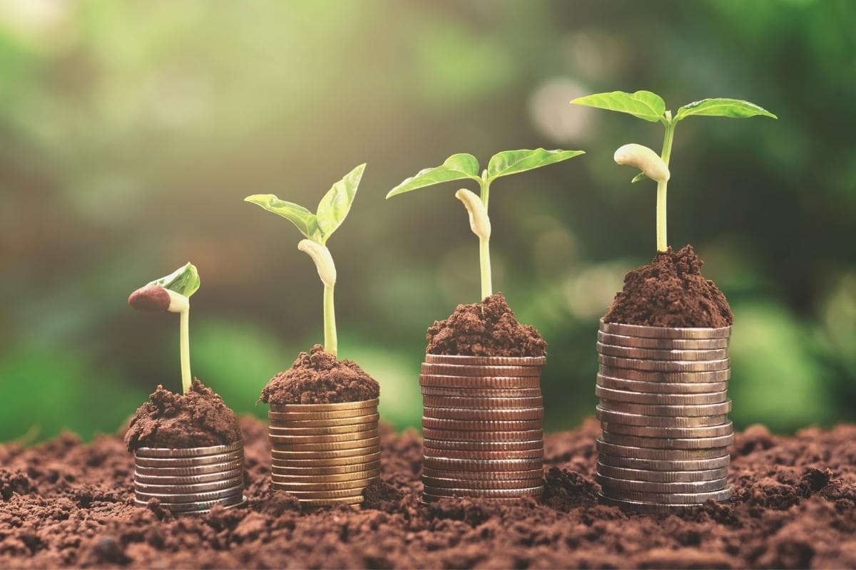 cut costs & conserve