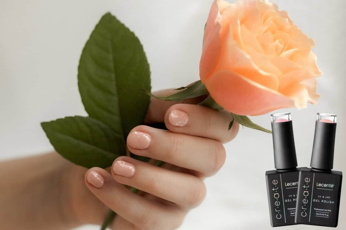 lecente verona collection