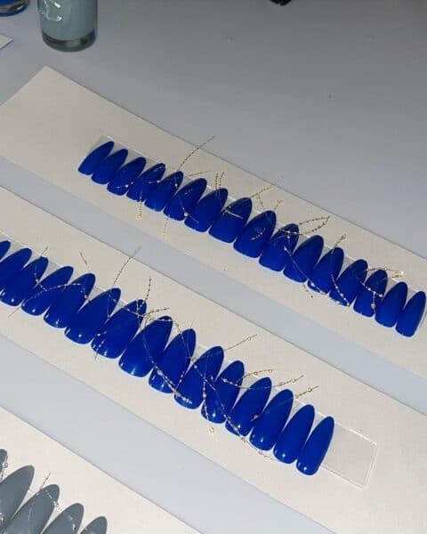 Nails for Di Petsa. Image: @_tylerphoenix_nails