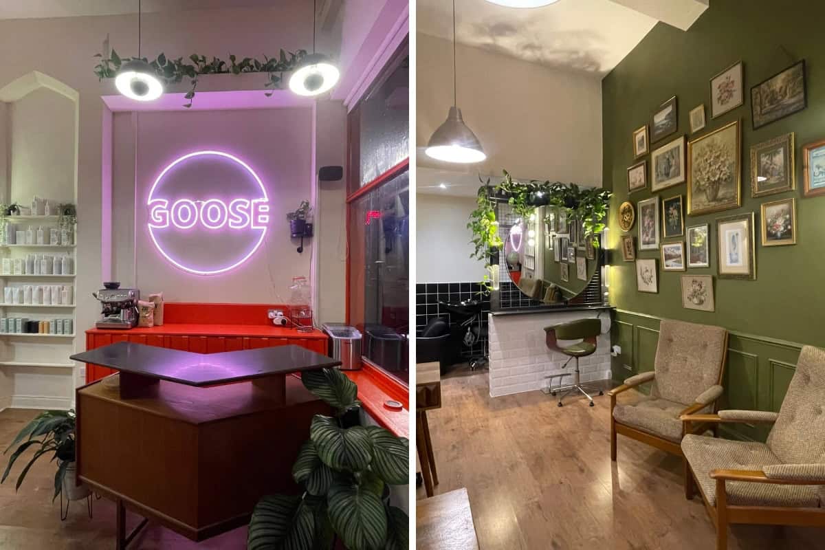 Goose Salon in the Spotlight header