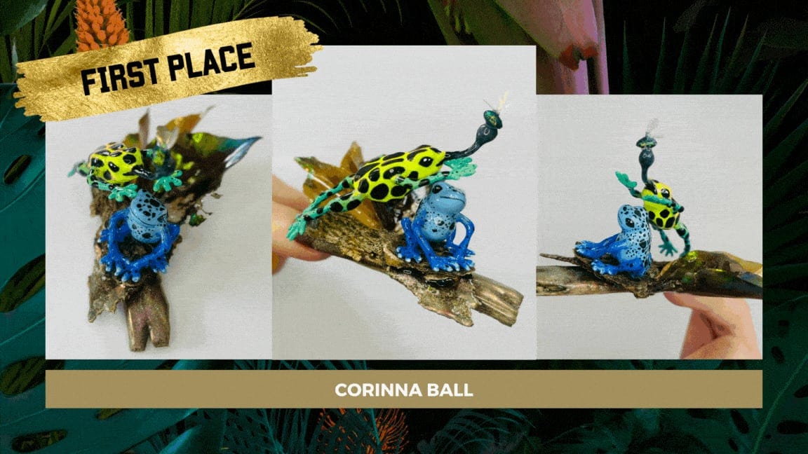 WSNA-WC3_CORINNA-BALL_1ST-PLACE