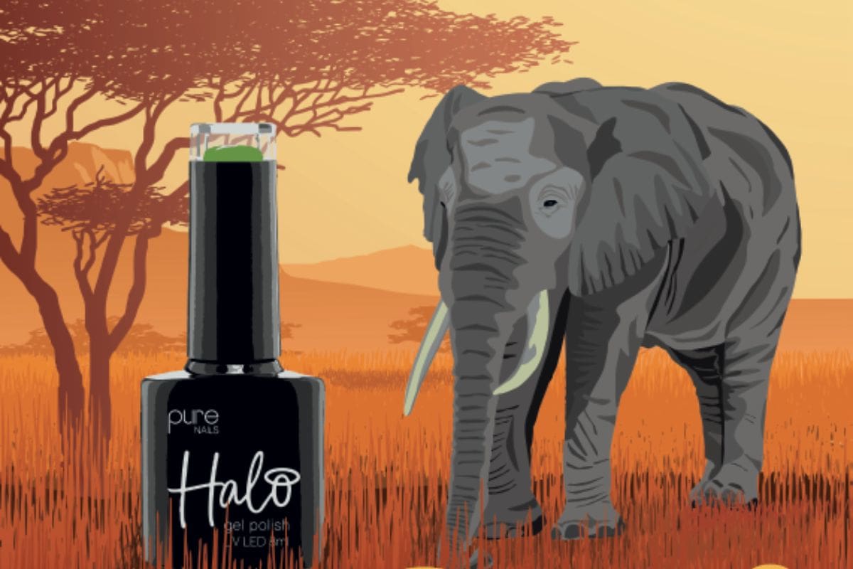 CHLOE Web newsfeature template 1200x800px - 2023-09-20T105046.191