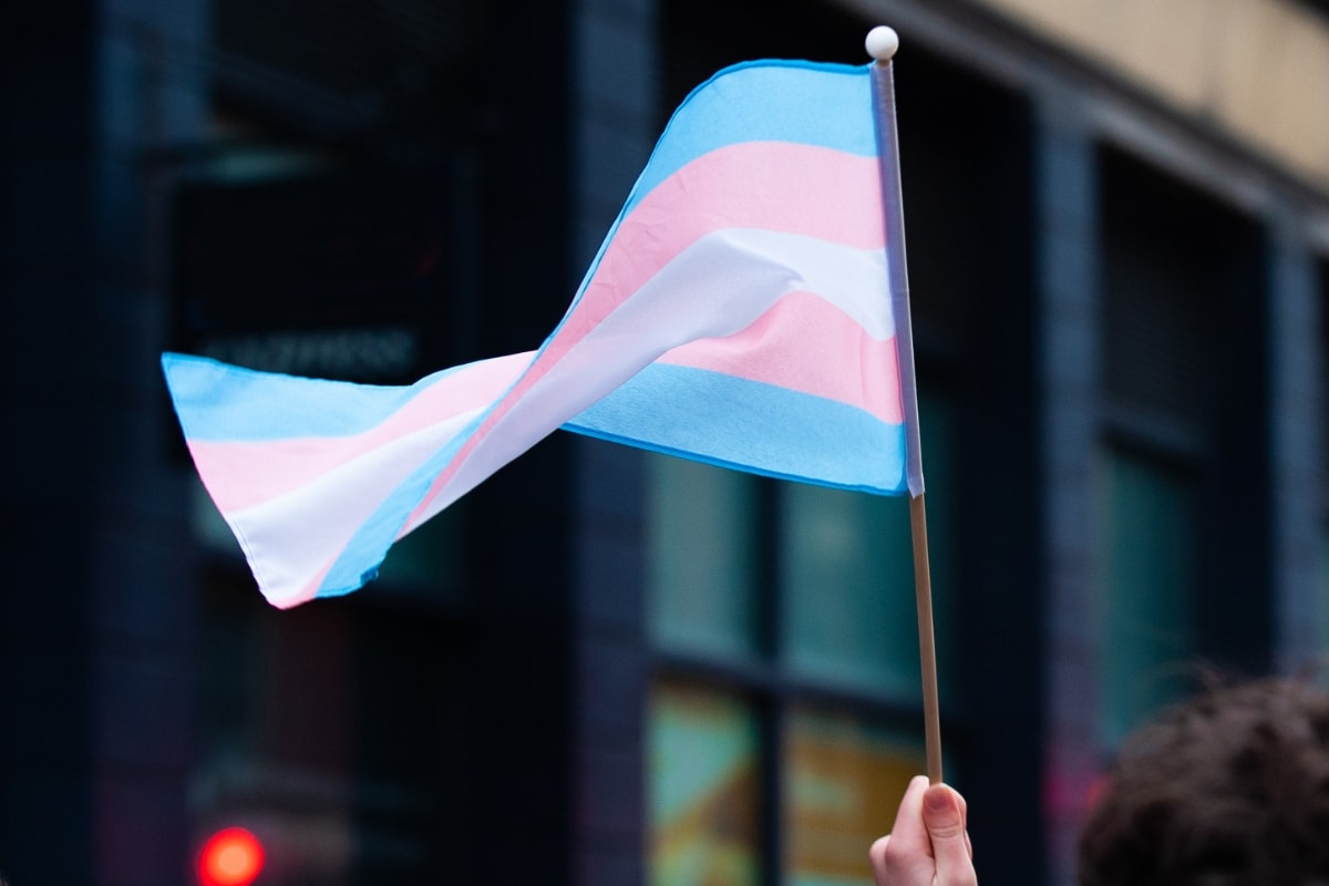 trans flag