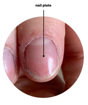 Katie Barnes Nail Plate Pic