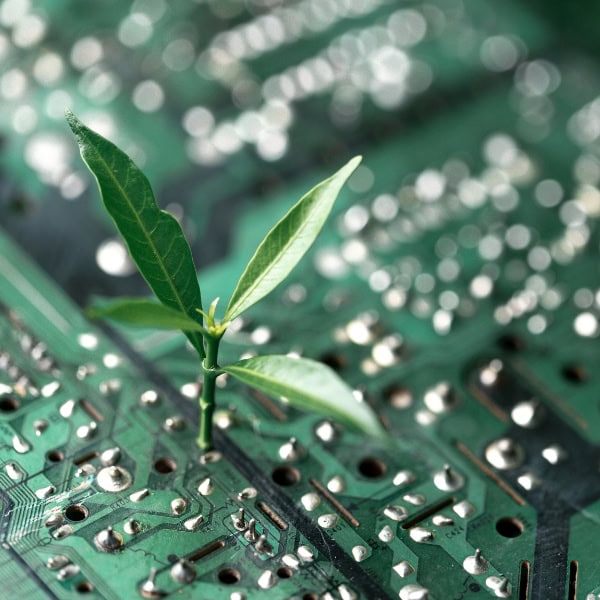 Plant Circuit Board