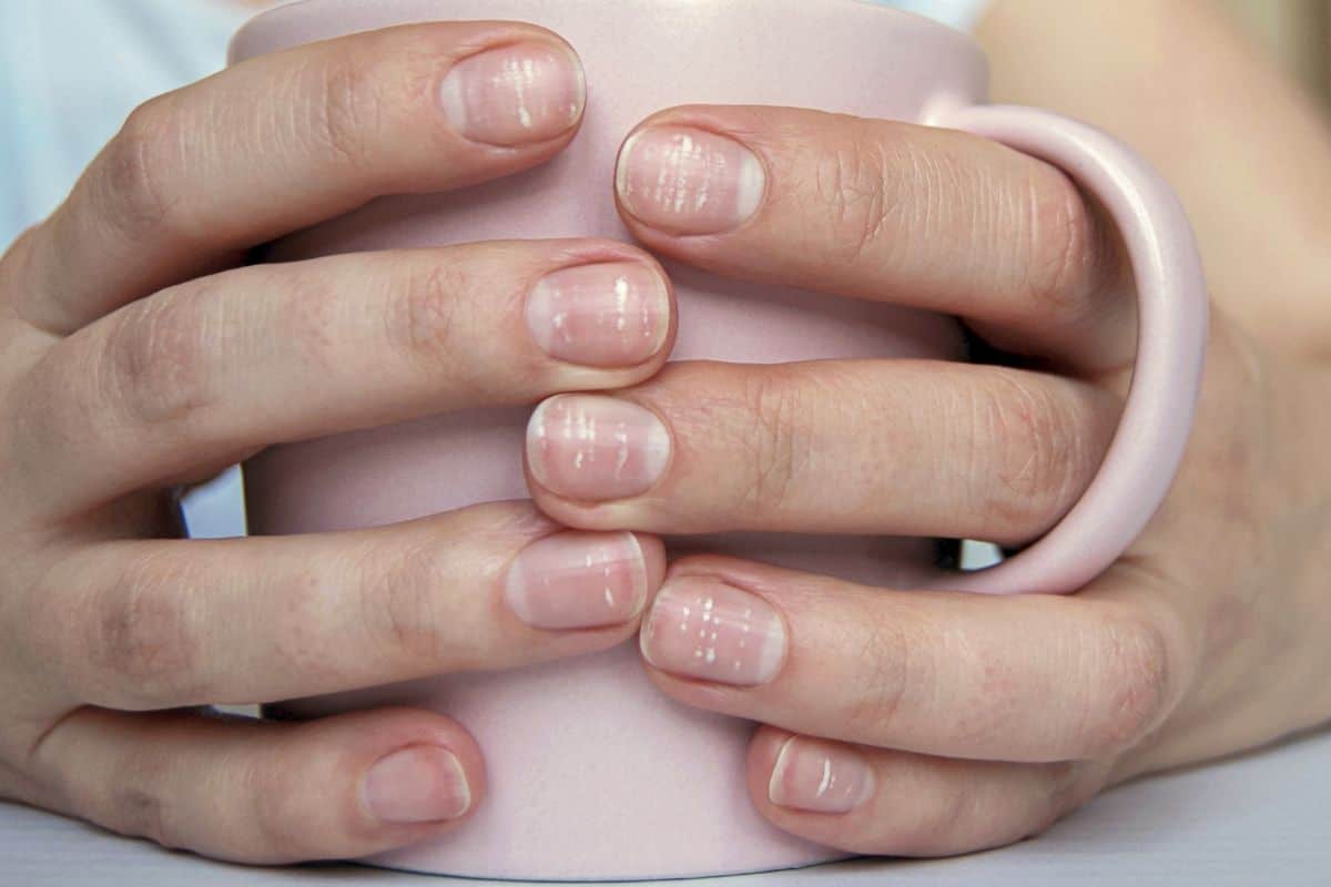 Lilly web newsfeature lead 1200x800px 139