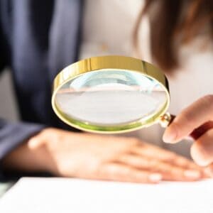 The salon inspector header