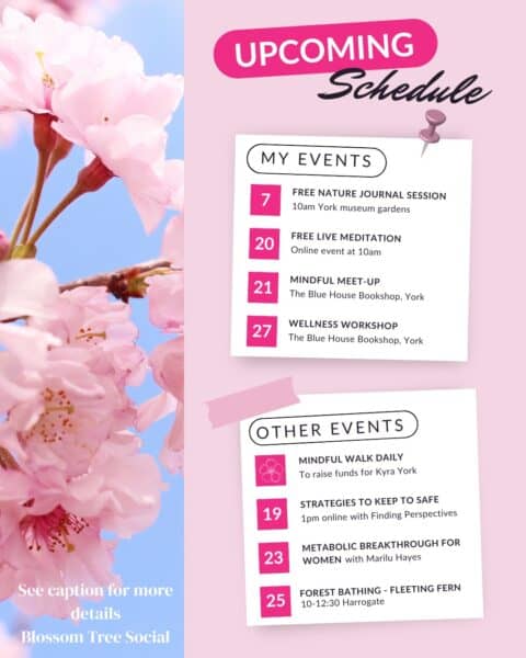 Mindful moments month (5)