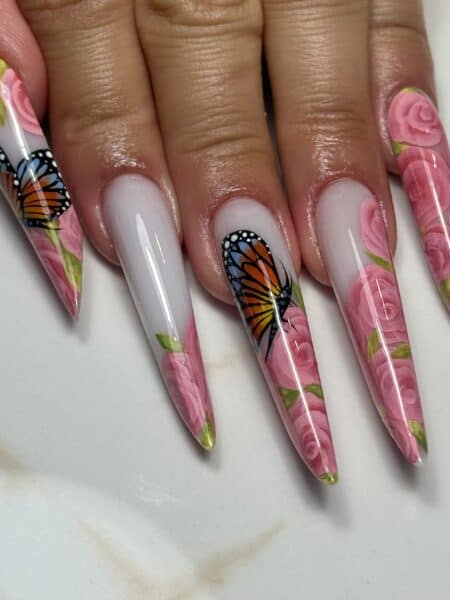 Hirsch hunty img 5592