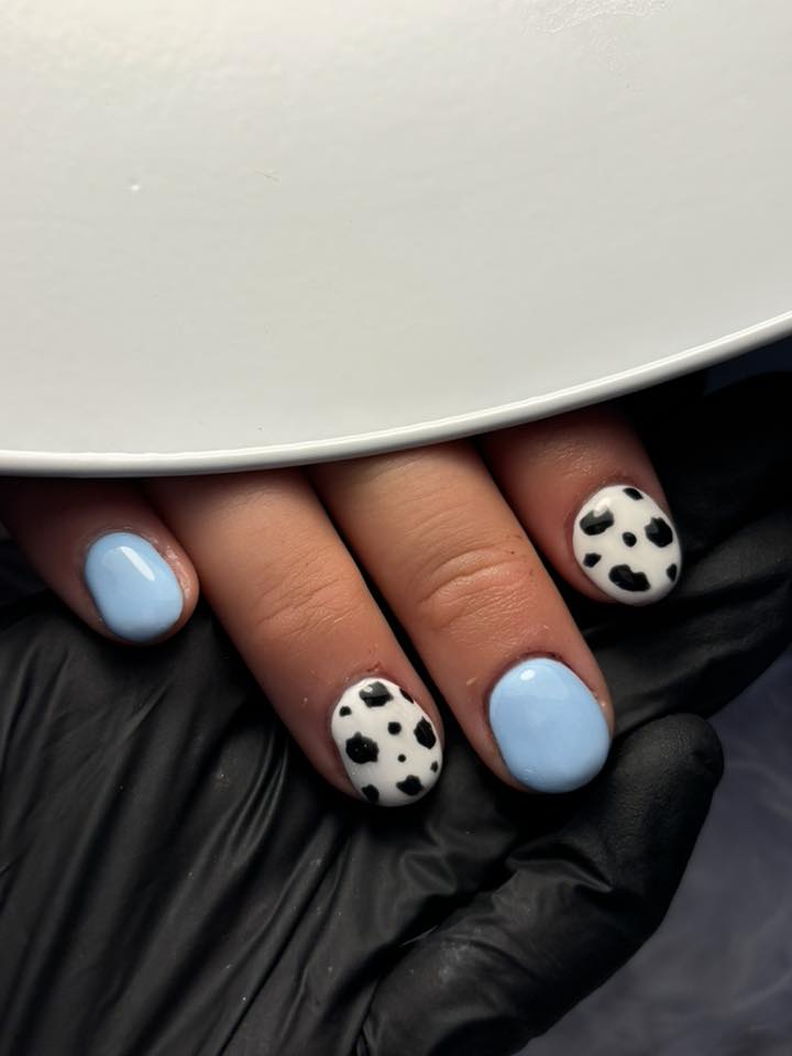 Image courtesy of holly harris