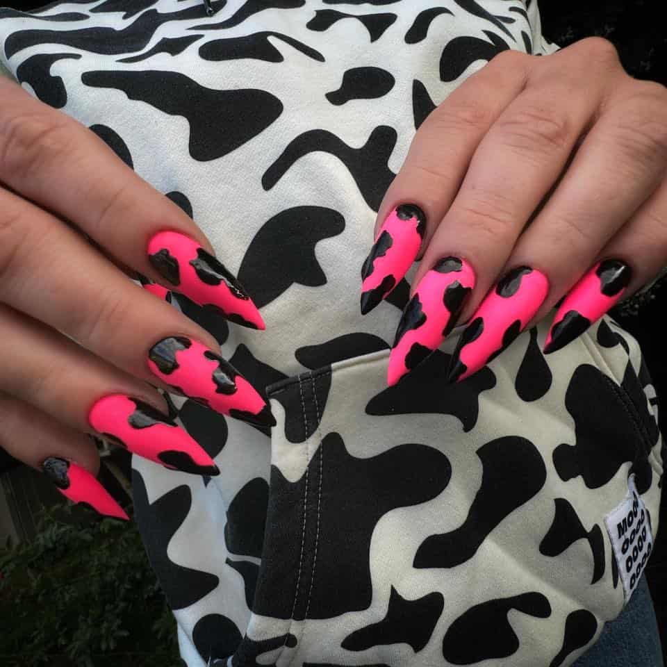 Image courtesy of ilona kricka