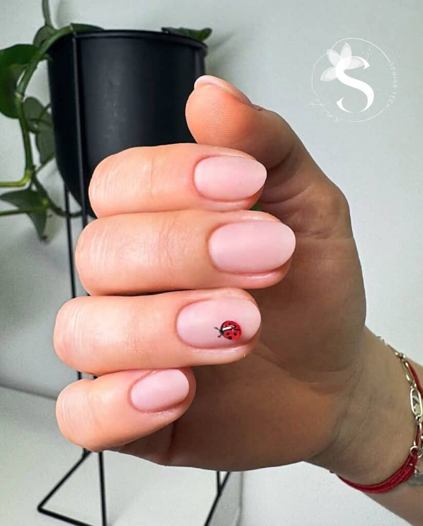 Image courtesy of instagram.com:saloncic.hr