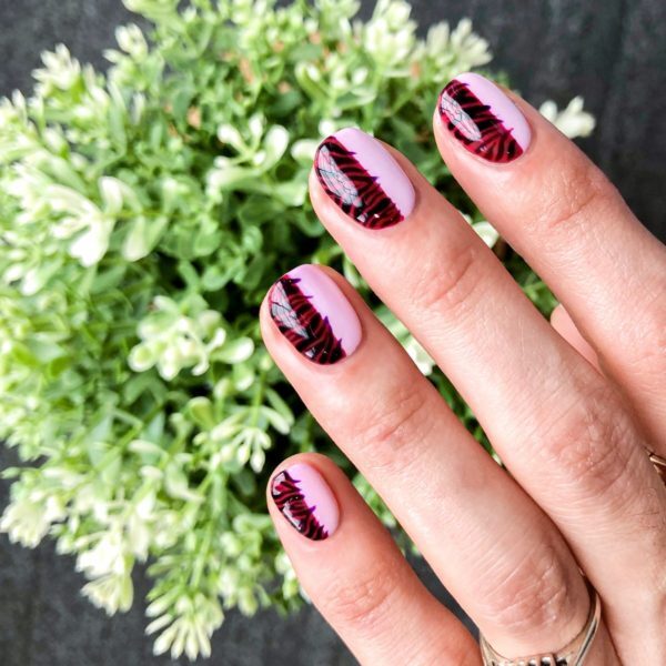 Julie Anne Zebra Vertical Half and Half 2019 - Final Image